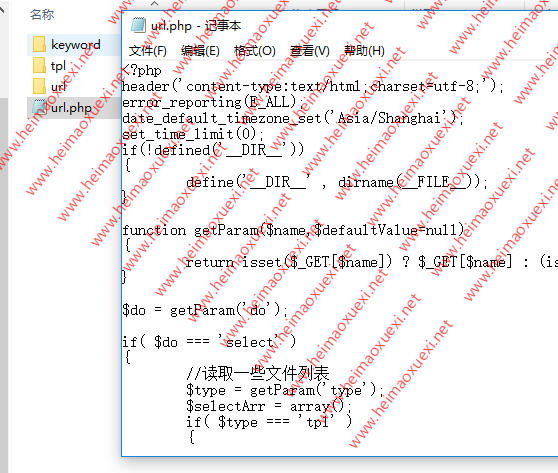 2019最新「高级寄生虫程序源码」泛目录站群（双用）