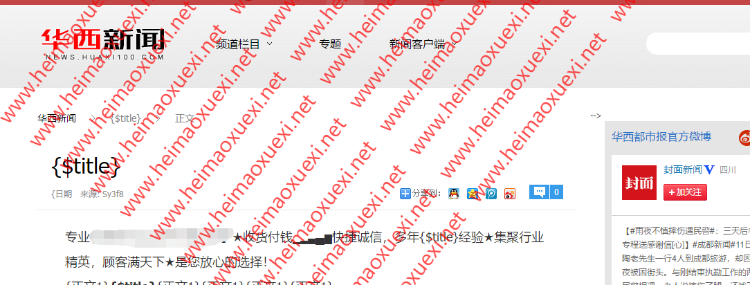 2019最新「高级寄生虫程序源码」泛目录站群（双用）