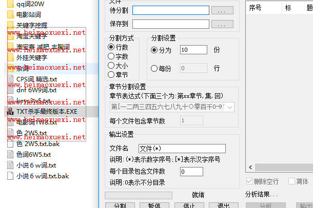 价值9500-高级全自动泛目录站群程序(附带视频+文本教程)