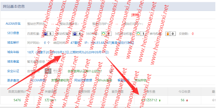 2019最新版零距离泛目录站群下载-历史最全版本+完全开源