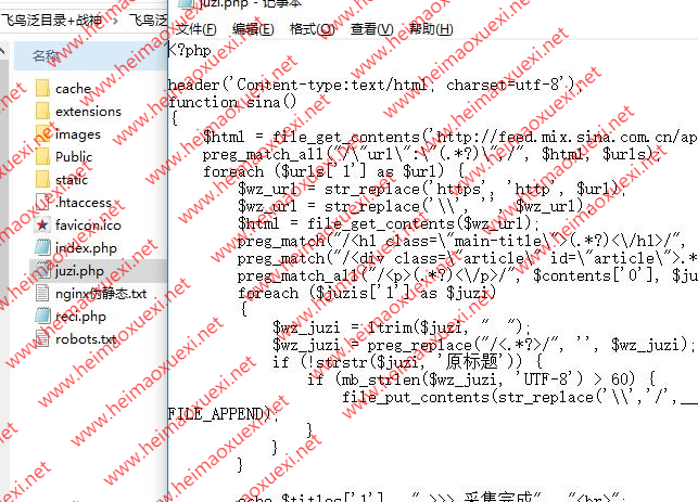 飞鸟MIP泛解析目录站群程序源码-可自动采集内容库反目录
