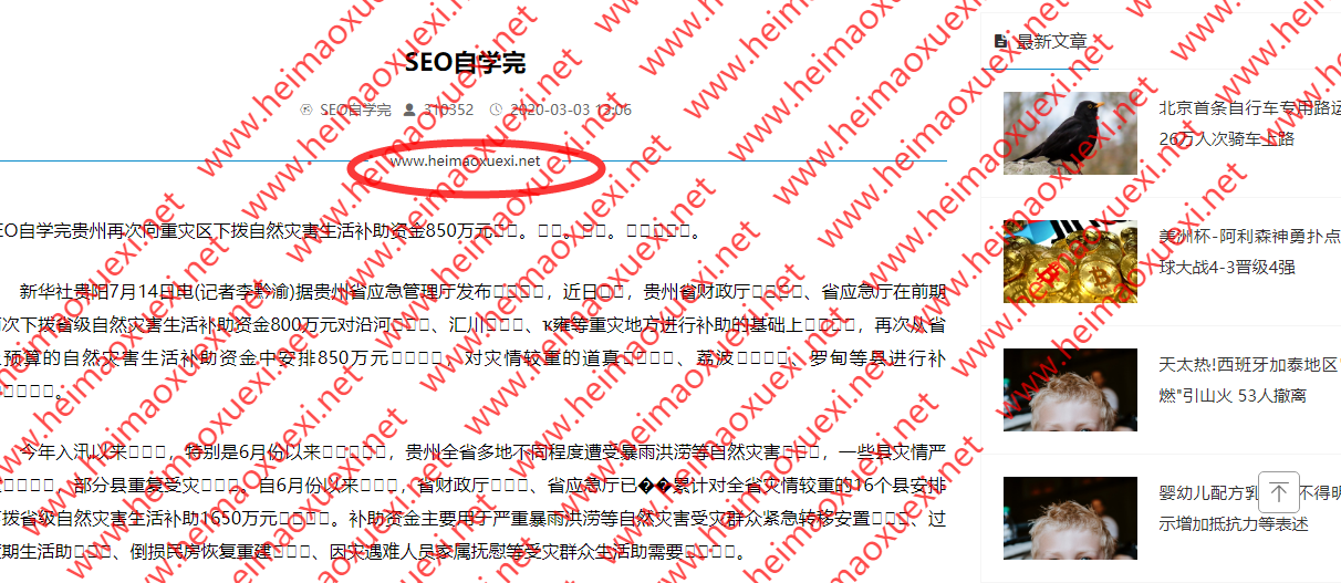 2020最新二进制MIP泛目录快排程序-动静结合/自动伪原创/效果杠杠的（具备熊掌号功能，开源，已测） ... ...