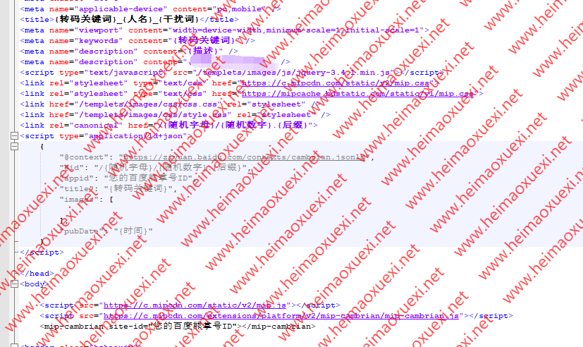 2020最新二进制MIP泛目录快排程序-动静结合/自动伪原创/效果杠杠的（具备熊掌号功能，开源，已测） ... ...