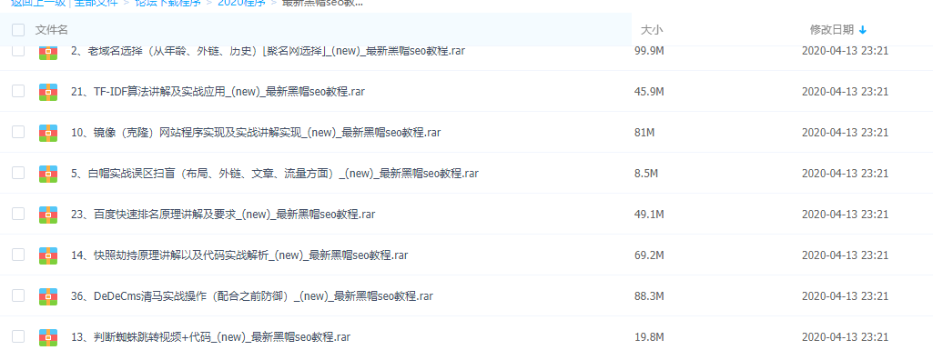 逆东黑帽SEO视频课程38节/价值10800元权重暴涨技术课程