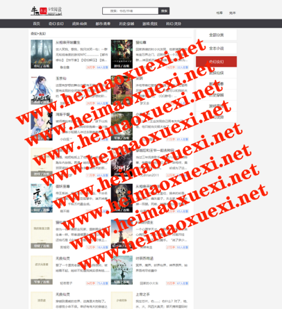 【2021年3月】最新款小说泛目录站群X2版本 （独立框架版本）超高权重 超高流量 ... ...