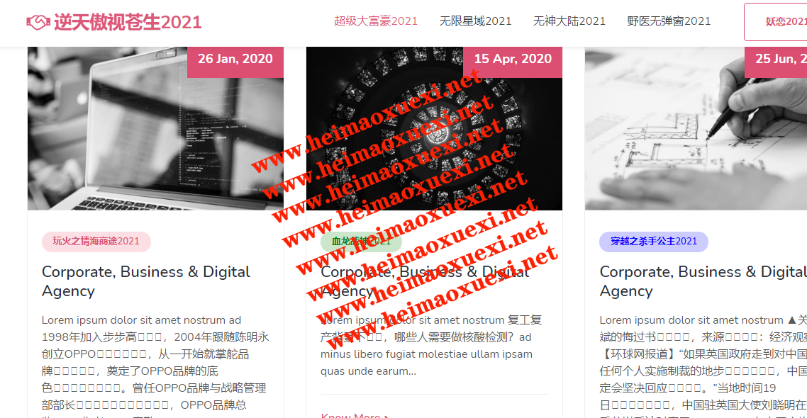 泛域名站群:永远滴神-扫地僧系列站群即将已上线/权重暴涨（涵盖所有版本/自定义修改/已测） ... ...