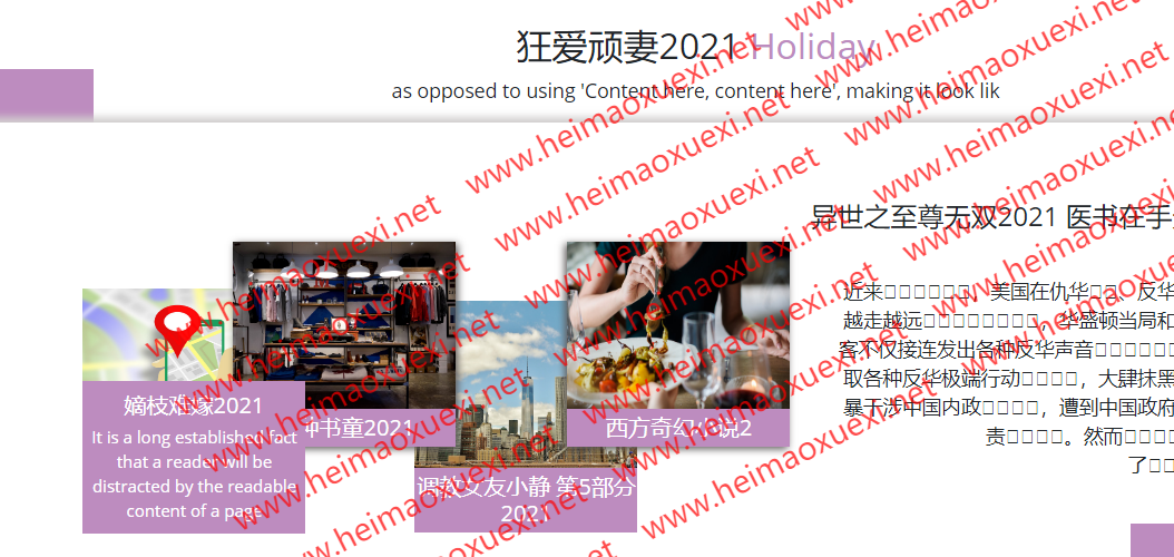 扫地僧泛模板站群X4顶配版-单泛特征版堆量神器-万能模板CMS站群（顶配版）