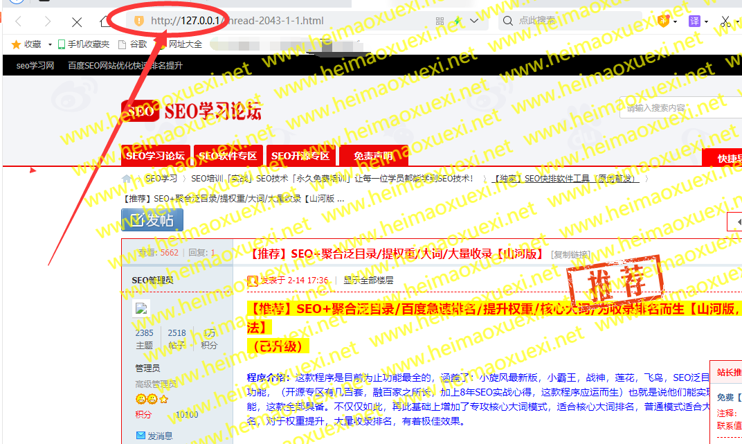 2021最新镜像养站程序/提升权重排名引流多用版/百万收录