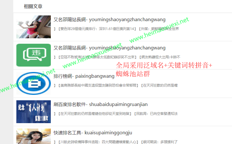 搜狗泛站群4.0-拼音繁体镜像首页纯泛站群参数版AI智能版
