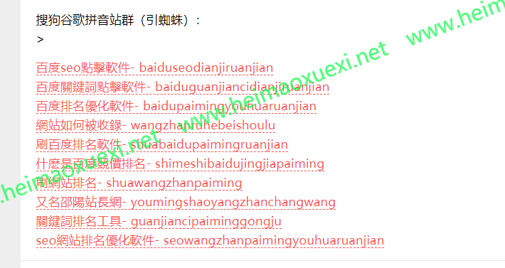 搜狗泛站群4.0-拼音繁体镜像首页纯泛站群参数版AI智能版