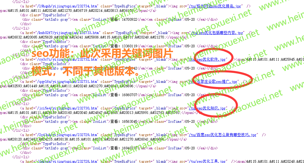 绿茶图片站群X5