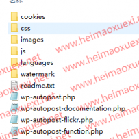 wordpress文章采集插件专业破解版(价值480元)-SEO专业采集插件