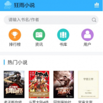 狂雨小说网站源码/流量小说cms源码下载/自动采集小说源码